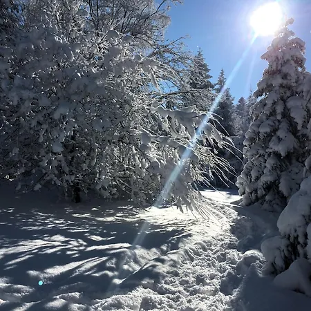 Podgorska Korbielów