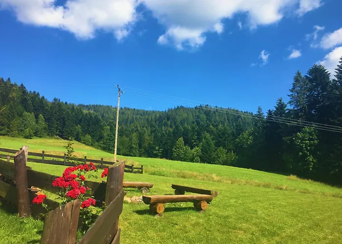 Guest house Podgorska 3*