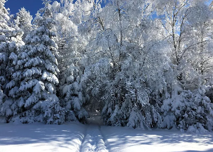 Podgorska Guest house