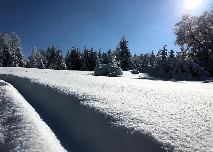 Guest house Podgorska 3*