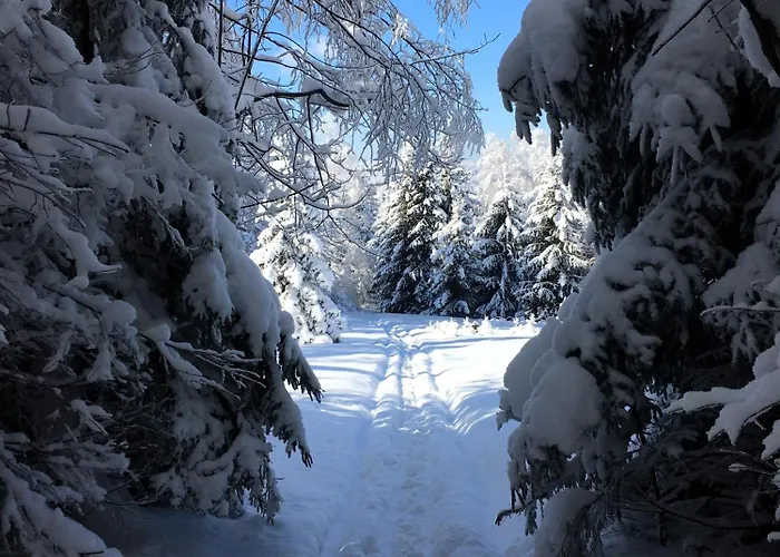 Podgorska Guest house Korbielow