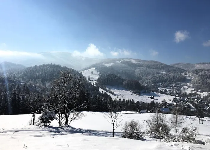 Podgorska Guest house 3*